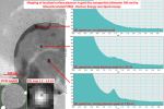 First Electron Energy Loss Spectroscopy